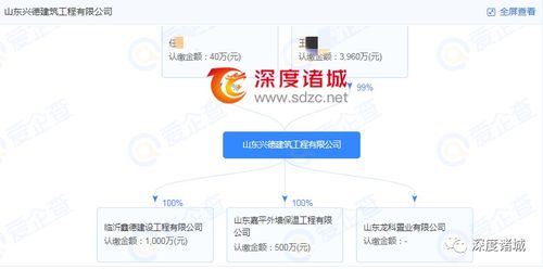 官方处罚公告的严谨性与企业的沉默 房地产信息咨询行业的监管反思