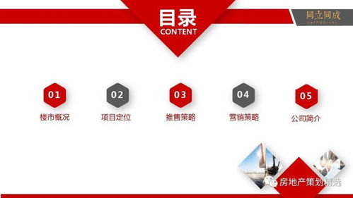 房地产营销策划全流程提案与信息咨询服务